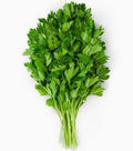 Parsely, Italian (flat leaf)