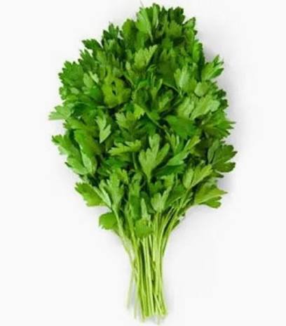 Parsely, Italian (flat leaf)